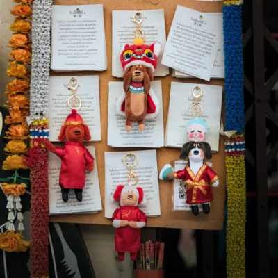 Just a Little Lion Dance Mystery Box-BOBBY AND FRIEND